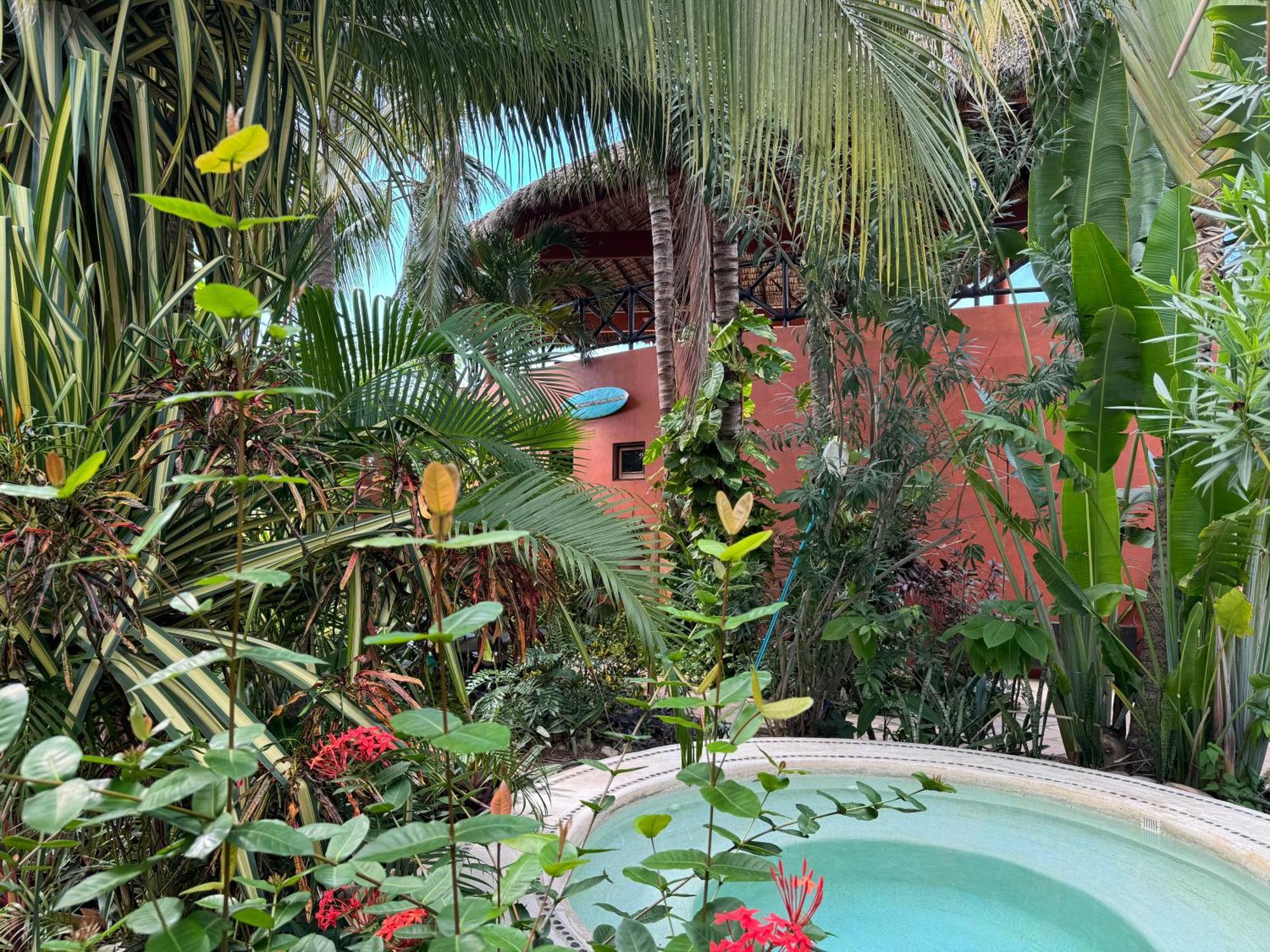 One Love Hostal Puerto Escondido エクステリア 写真