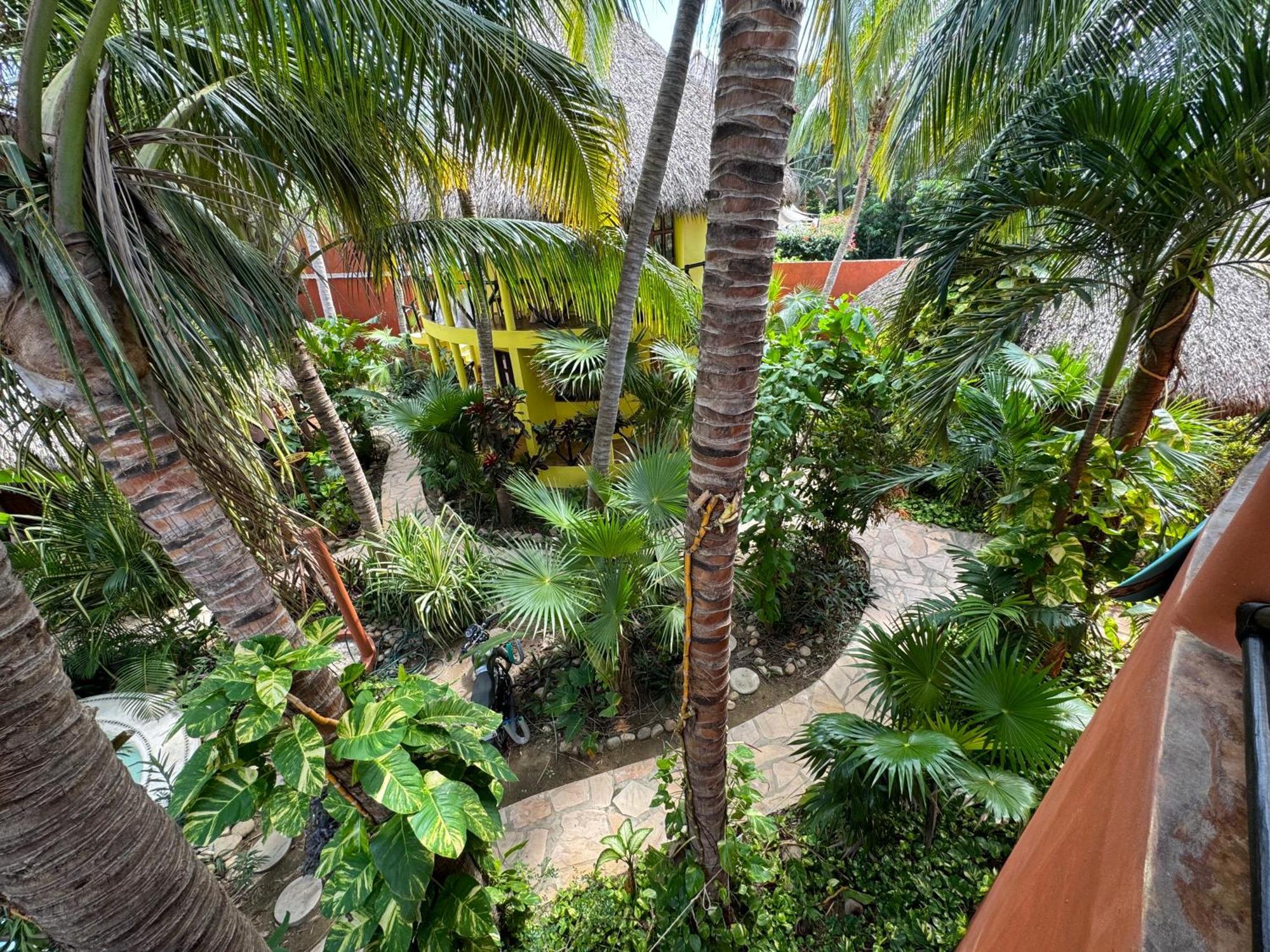 One Love Hostal Puerto Escondido エクステリア 写真