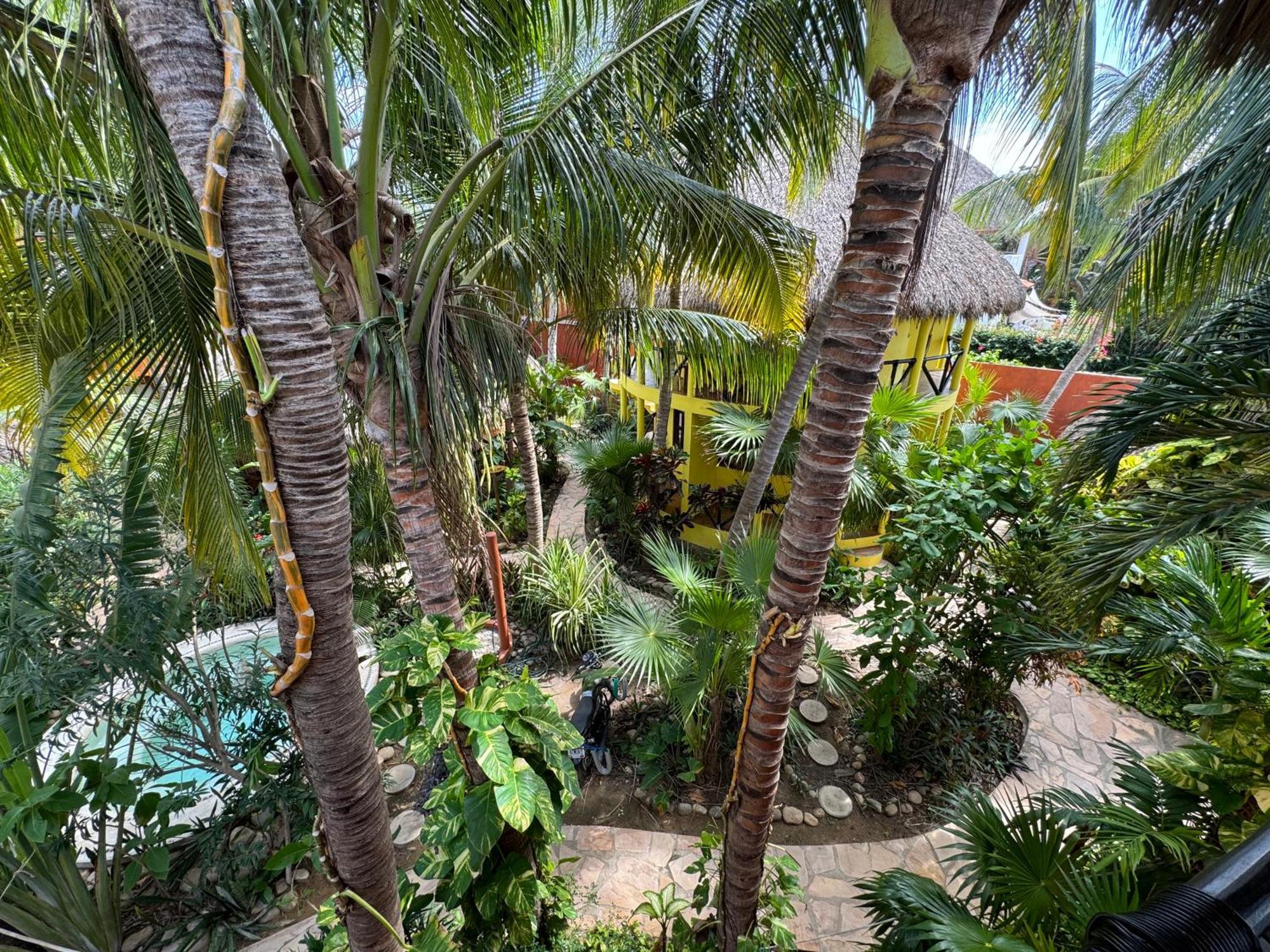 One Love Hostal Puerto Escondido エクステリア 写真
