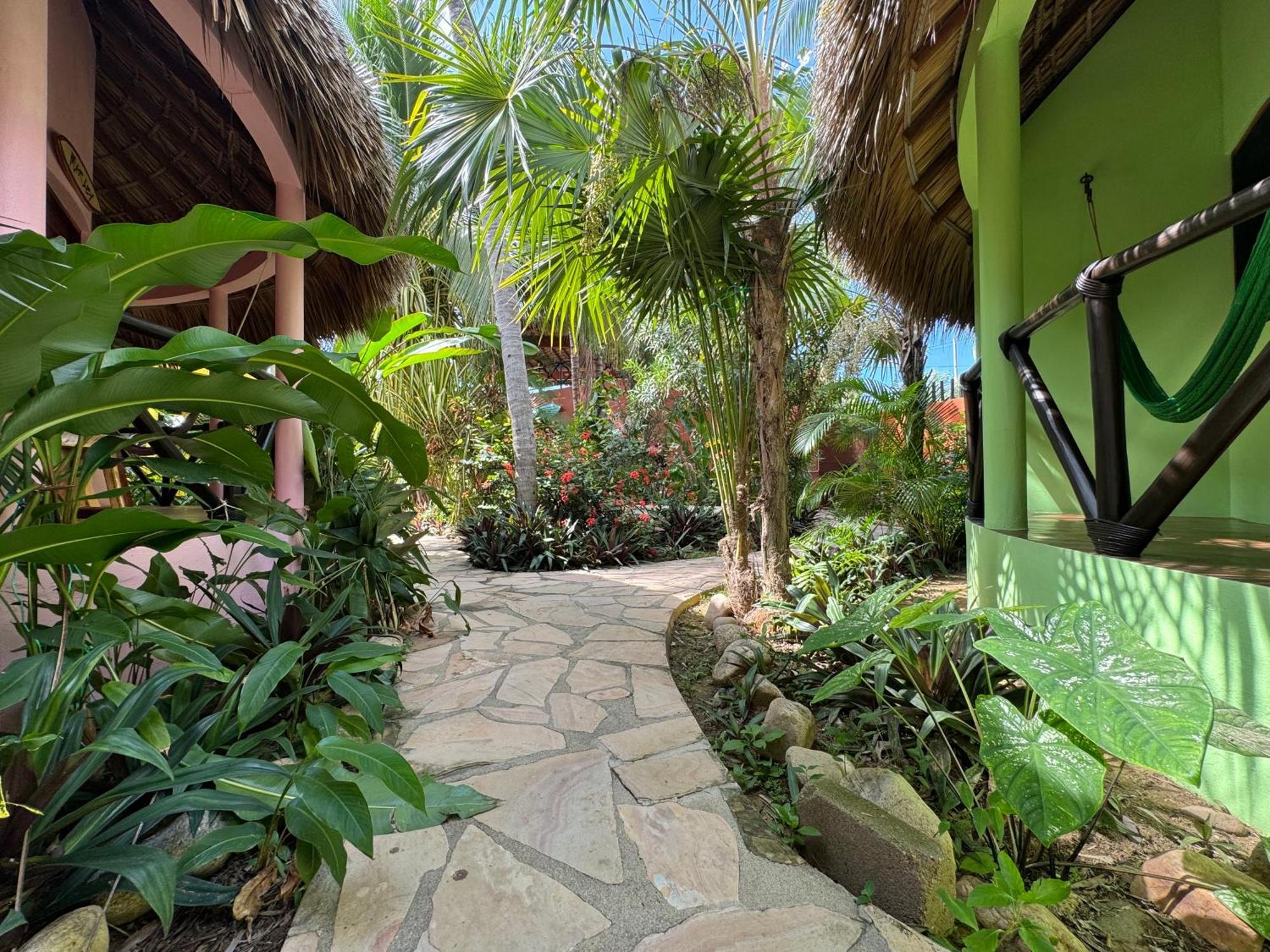 One Love Hostal Puerto Escondido エクステリア 写真