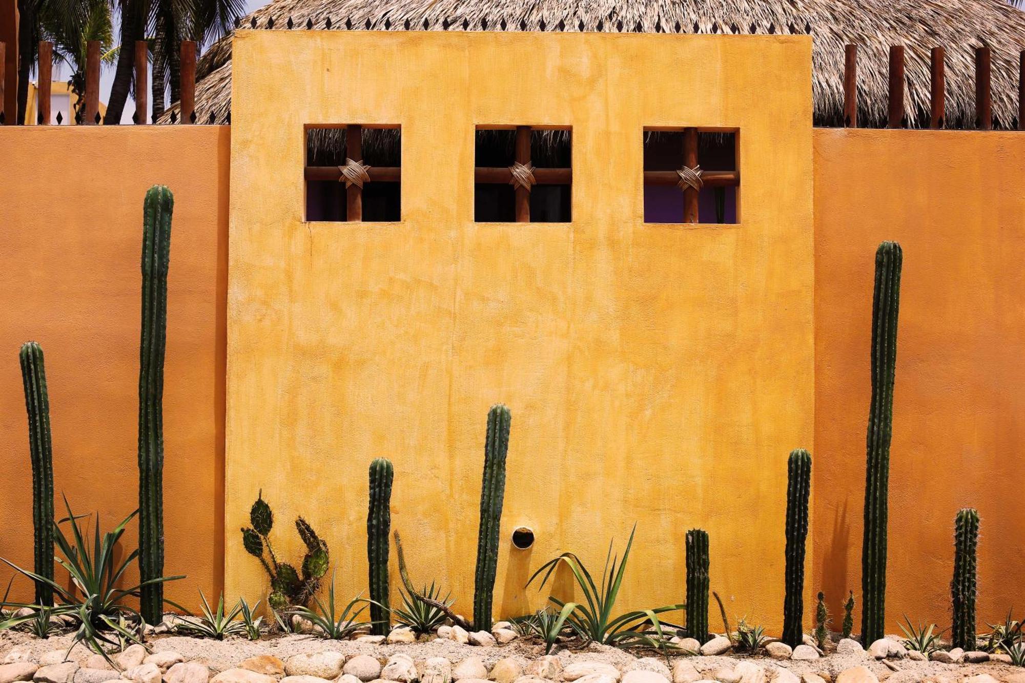 One Love Hostal Puerto Escondido エクステリア 写真