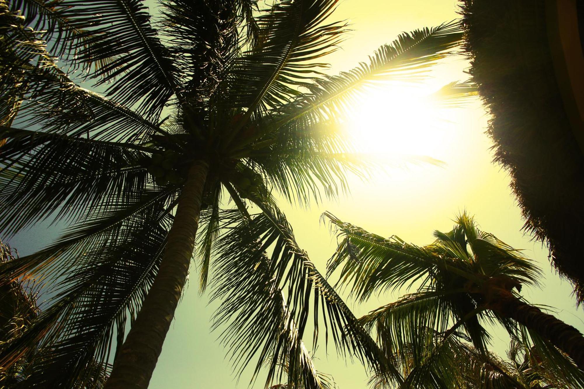One Love Hostal Puerto Escondido エクステリア 写真